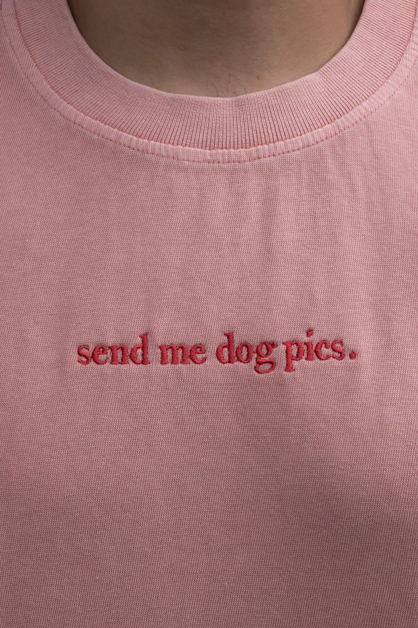 Send Me Dog Pics - T-Shirt GT