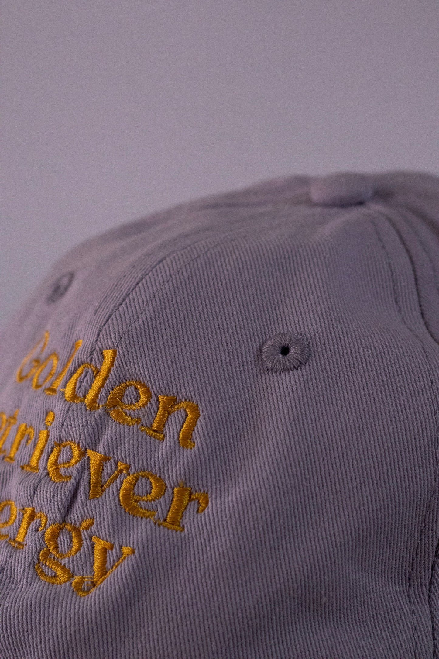 Gorra “Golden Retriever Energy”