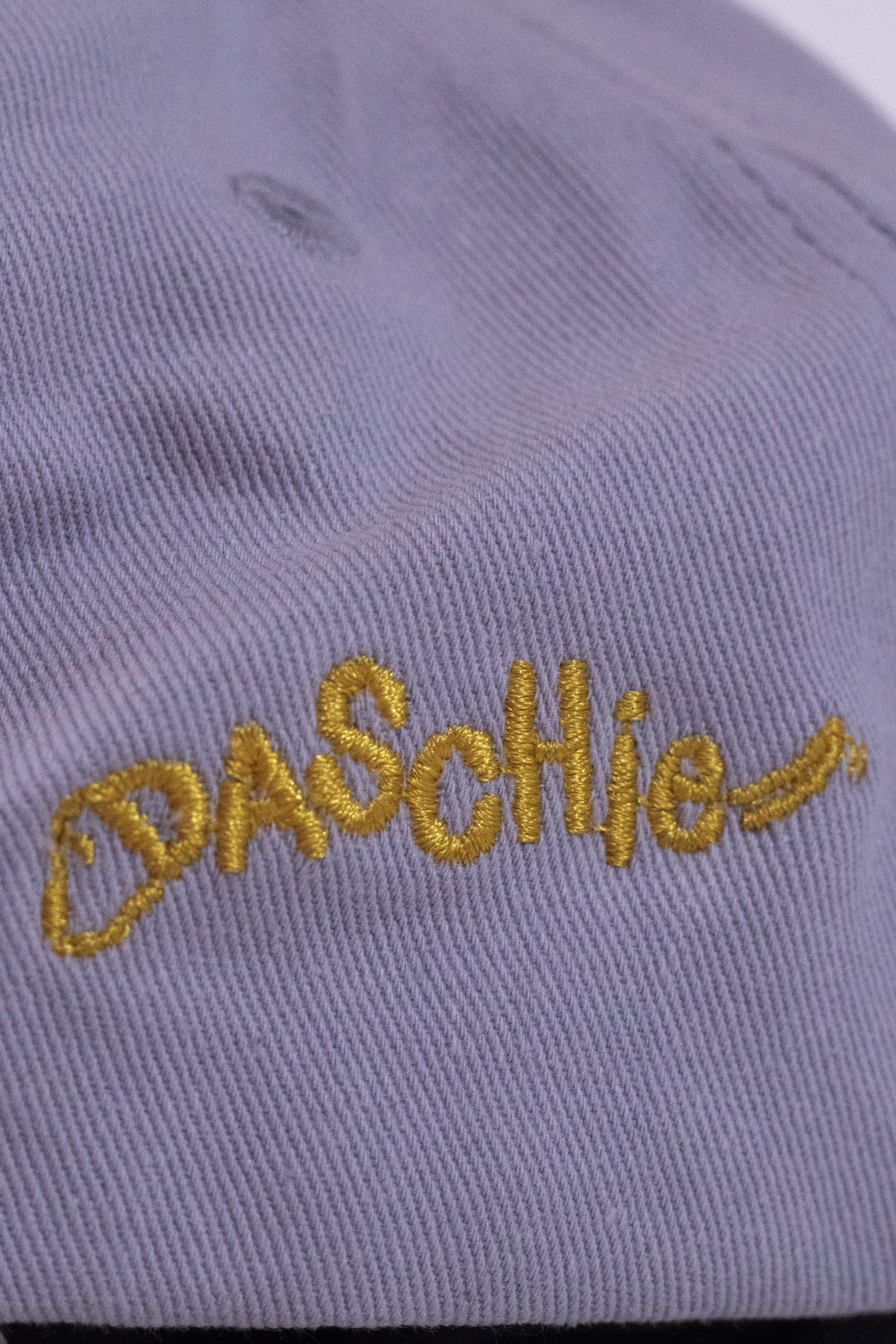 Gorra “Golden Retriever Energy”