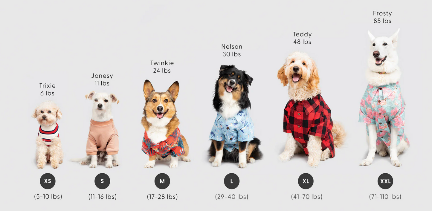 Festive Fam Dachshund - Doggie Pijama GT