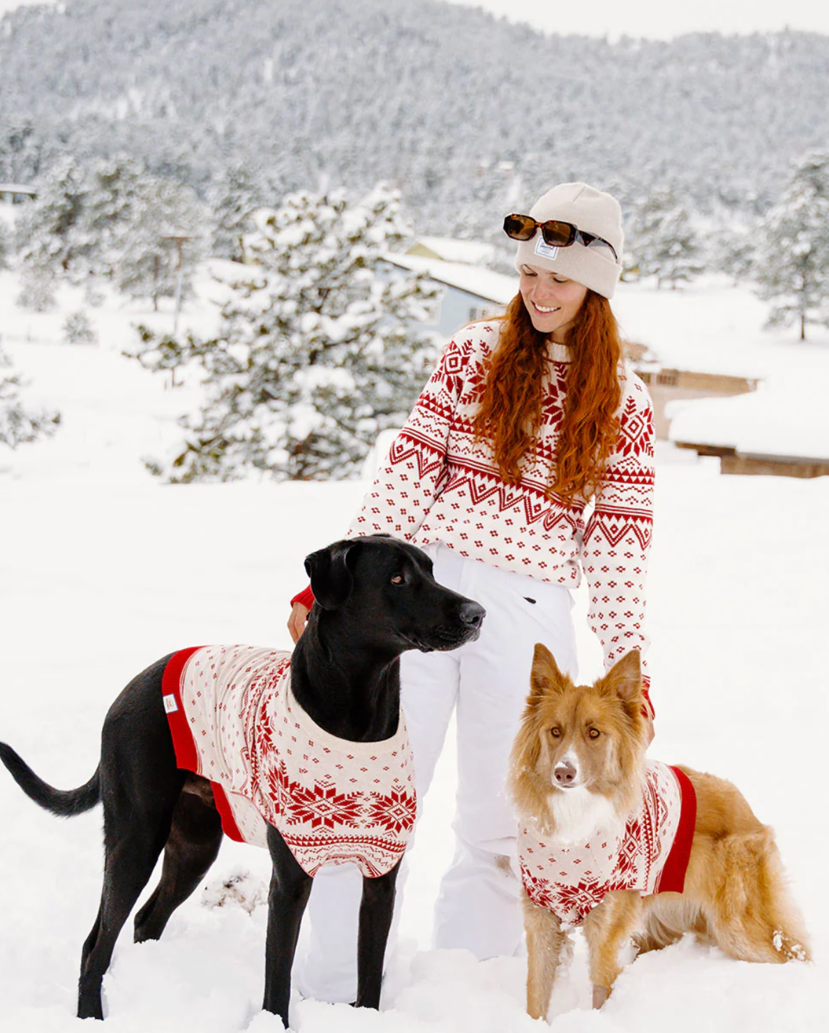 Norwegian Sweater - Human GT