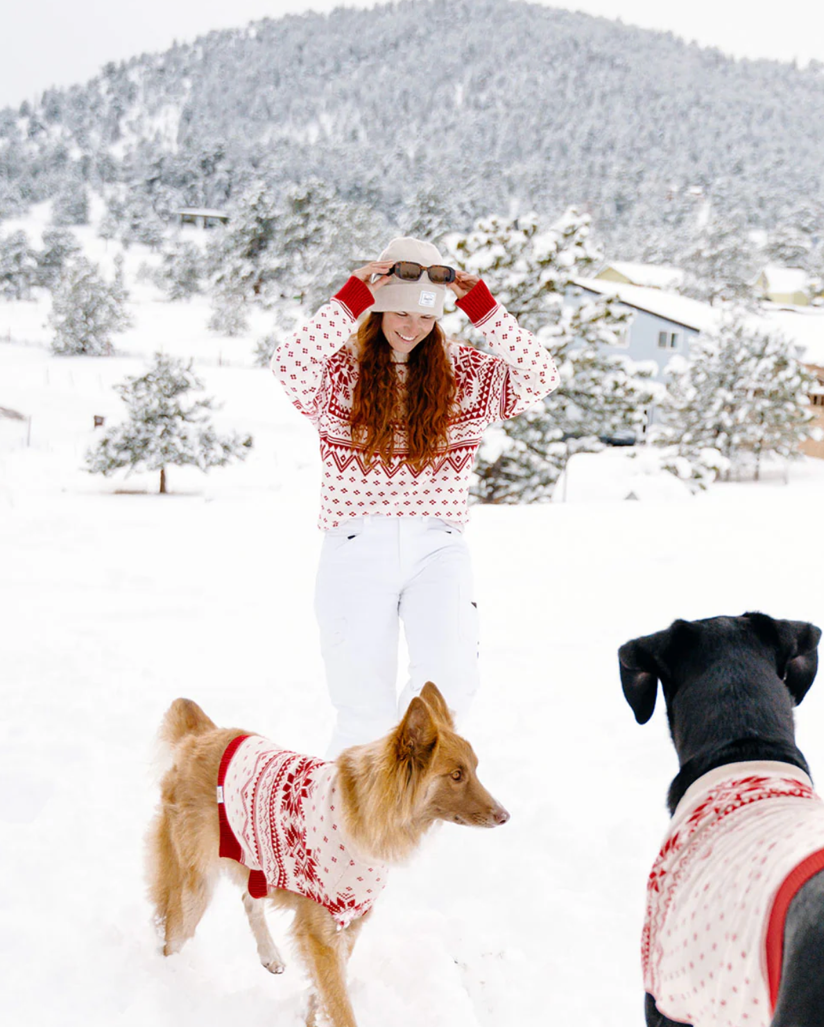 Norwegian Sweater - Human GT