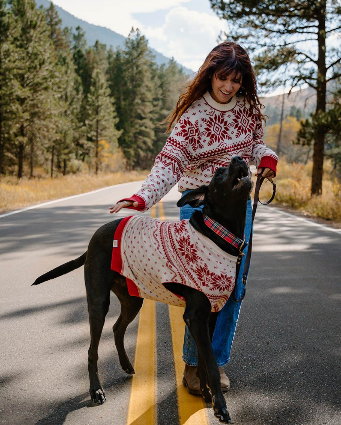 Norwegian Sweater - Perris GT