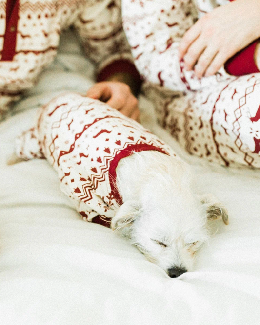 Festive Fam Dachshund - Doggie Pijama GT